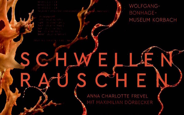Bild vergr&ouml;&szlig;ern: Schwellenrauschen